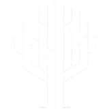 Network